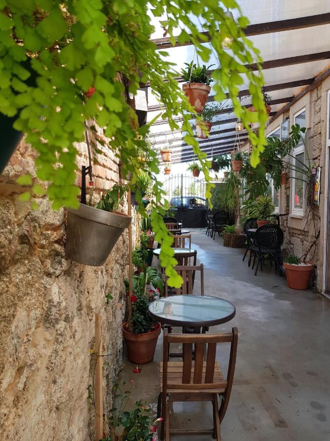 Garden Place Alojamento Local 비세우 외부 사진